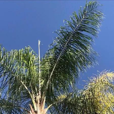Appartements Marrakech Garden 马拉喀什 外观 照片