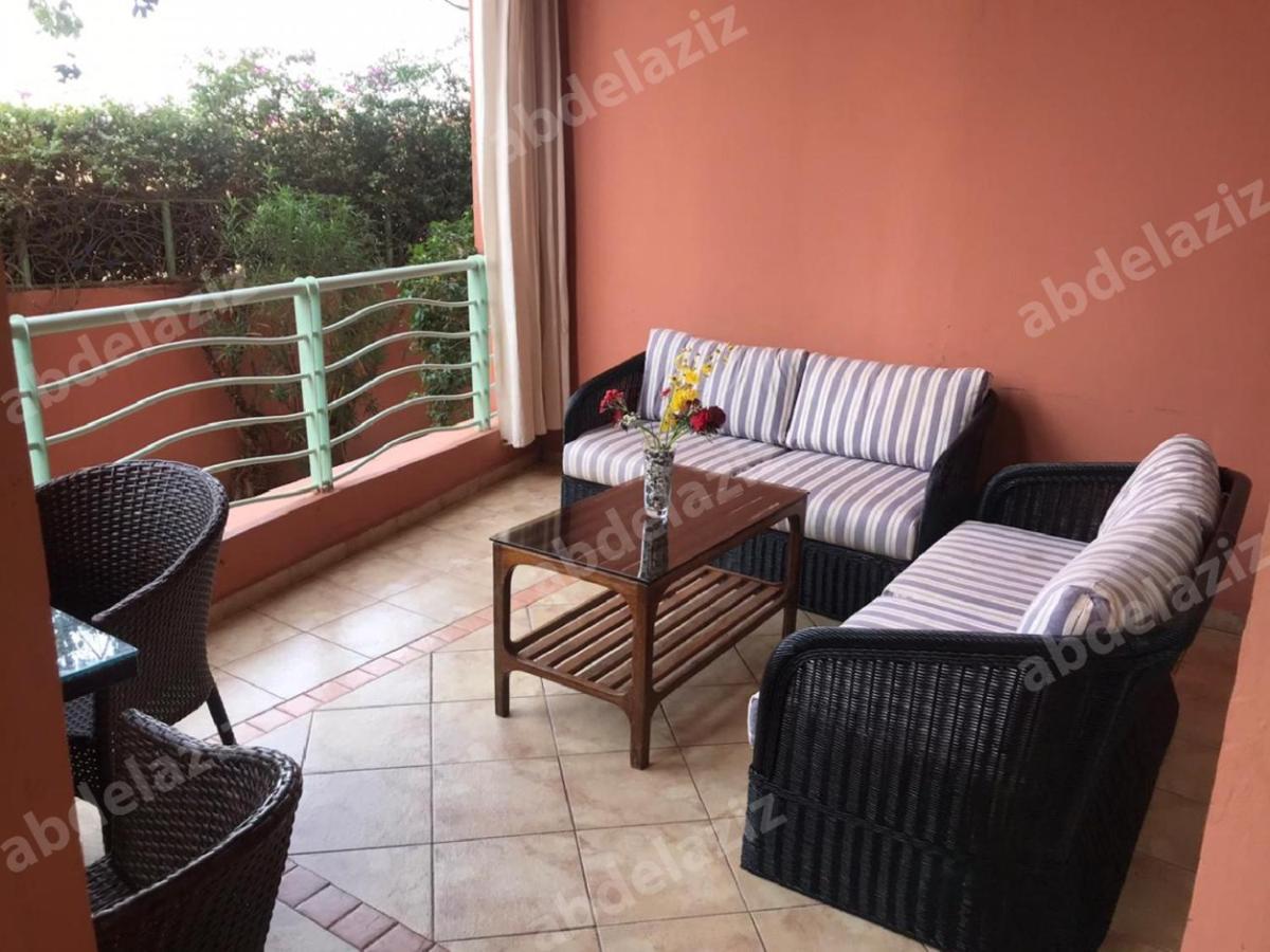 Marrakech Garden 马拉喀什