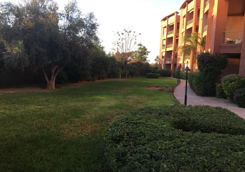 Marrakech Garden * 马拉喀什